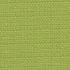 Panama Olive