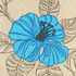 Hibiscus Turquoise