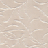 Aurora Champagne