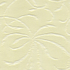 Aurora Citrus